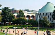 萨塞克斯大学（英国）
