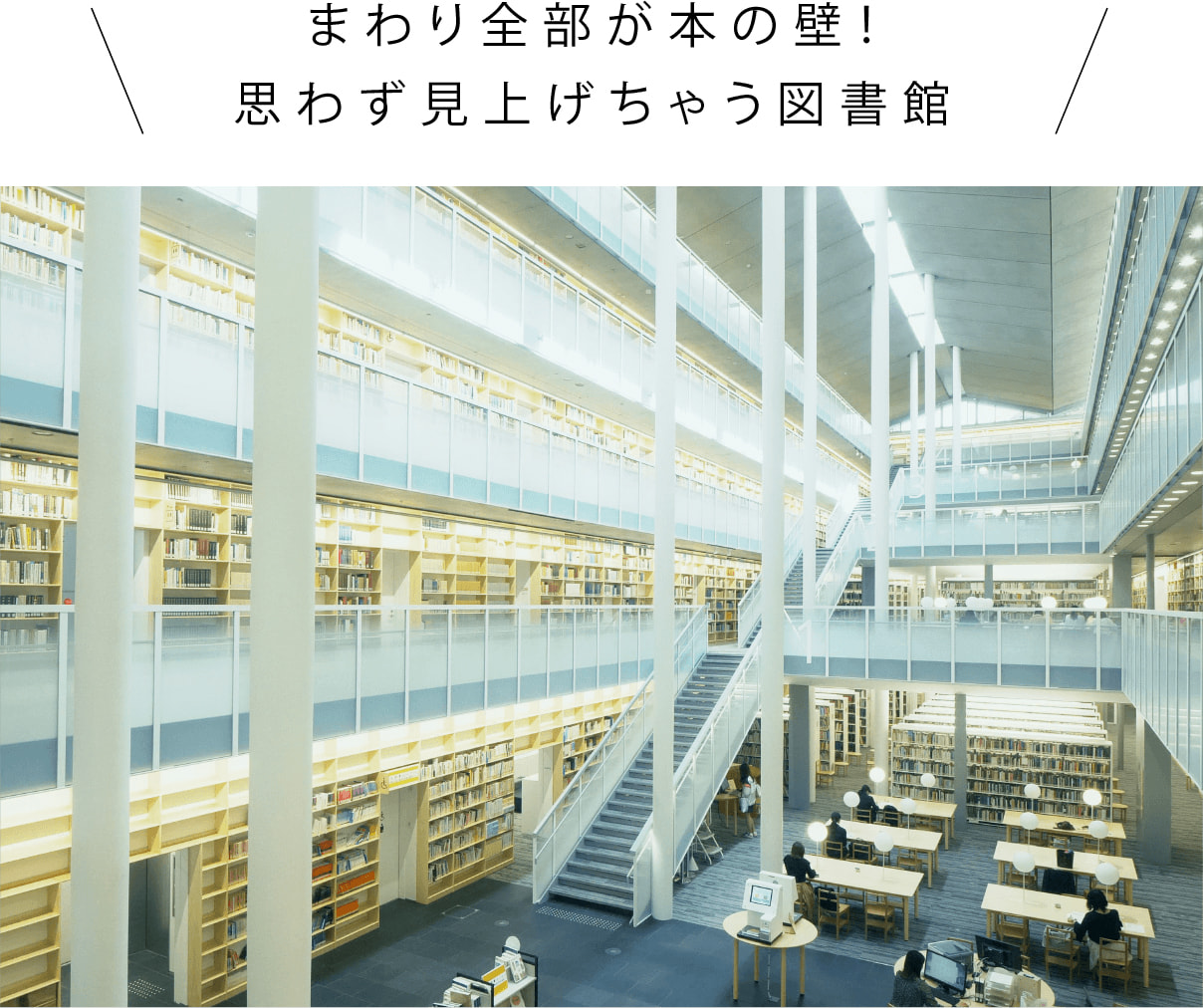 まわり全部が本の壁!思わず見上げちゃう図書館