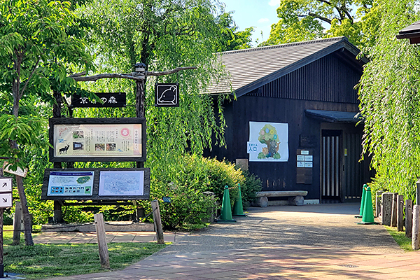 学生作品が京都市動物園で設置されています。のサムネイル