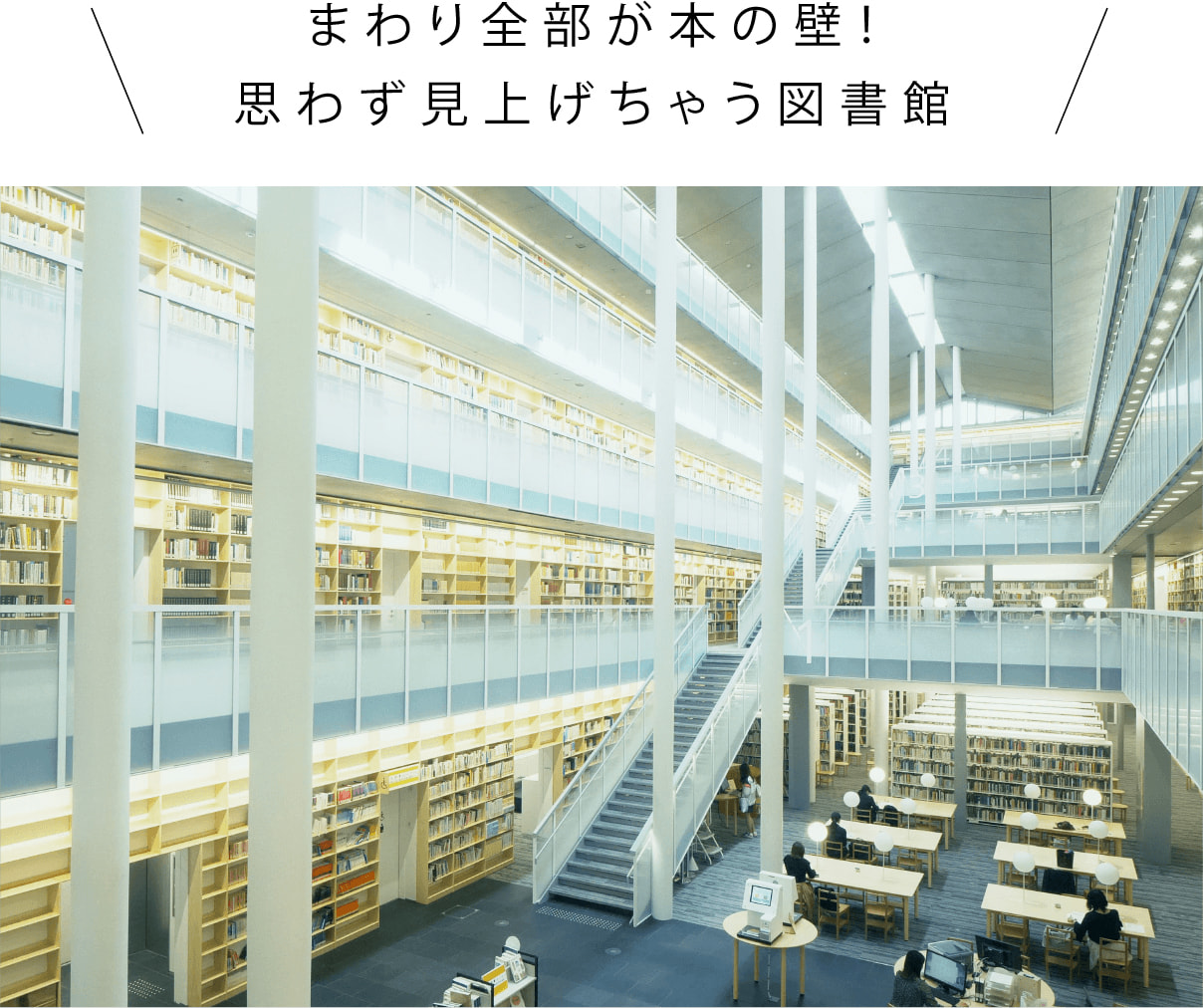 まわり全部が本の壁！思わず見上げちゃう図書館